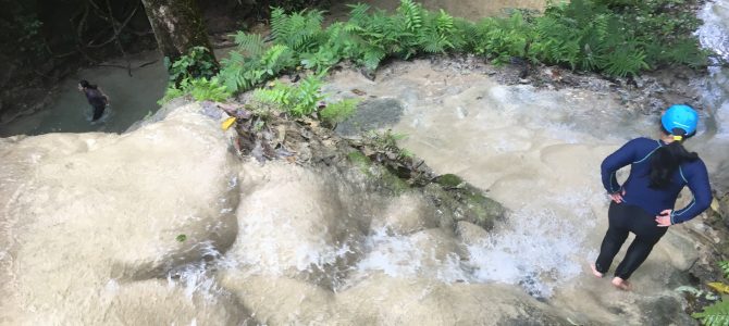Sticky Waterfall